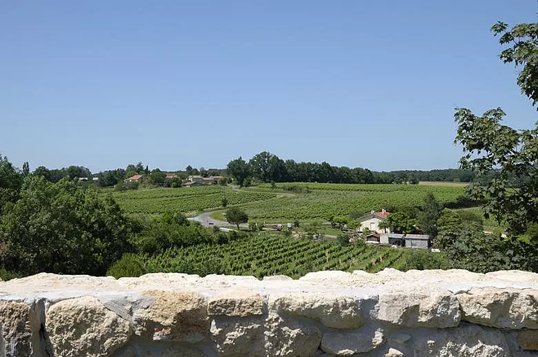 Chateau Wine and Design - Location villa de luxe - Aquitaine / Pays Basque - ChicVillas - 38